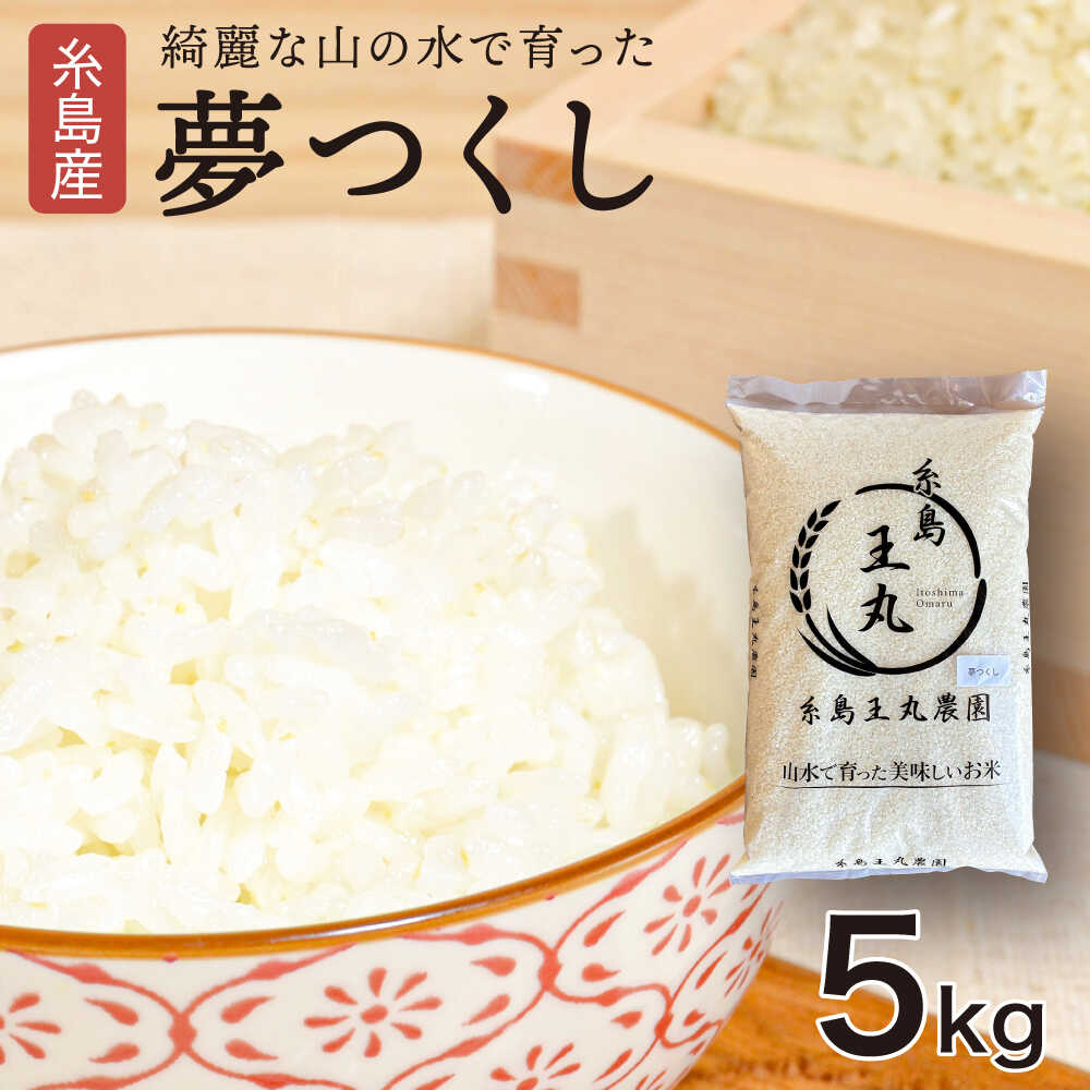 【ふるさと納税】糸島産 夢つくし 5kg 糸島市 / 糸島王丸農園 ( 谷口汰一 )【いとしまごころ】 [AAZ001] 常温 米 白米 16000円 1万6千円