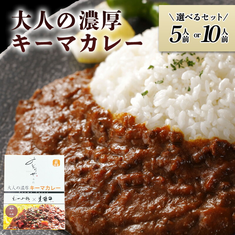 【ふるさと納税】【選べる！セット】大人の濃厚キーマカレー