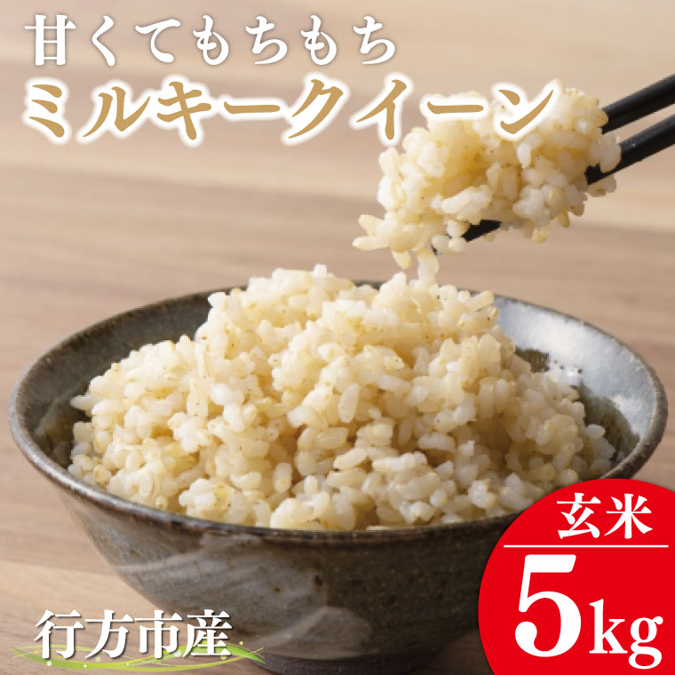 ★令和8年度産★甘くてもちもち ミルキークイーン5kg(玄米)｜米 お米 こめ ミルキークイーン 令和8年産 R8年産 玄米 茨城県 行方市(BR-9)
