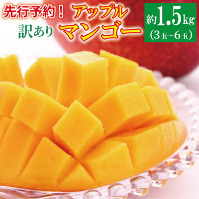 【ふるさと納税】楽天限定【訳あり・ご自宅用】アップルマンゴー（約1.5kg）【2025年発送】】 訳あり 値下げ マンゴー アップルマンゴー アーウィン 甘いマンゴー 家庭用 数量限定 沖縄 読谷村 自宅使い 人気商品 デザート