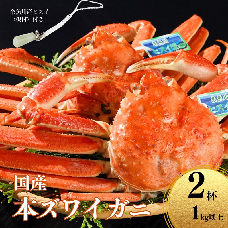 【ふるさと納税】〈期間限定〉本ズワイガニ 500g以上×2杯 計1kg以上 《ヒスイ根付付き》 姿 蒸し蟹 糸魚川産 鮮度が命！蒸したて直送 ずわいがに かに 蟹 ヒスイ水産 国産 日本海 新潟 新鮮 タグ付き 11月から漁開始 ギフトにも おススメ カニ ヒスイ蟹