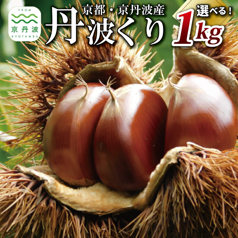 【ふるさと納税】丹波くり 1kg 選べる とれたて チルド熟成 3L 4L サイズ 京都 京丹波町産 大粒 生栗 和栗 国産 丹波栗 ※北海道・沖縄・その他離島は配送不可