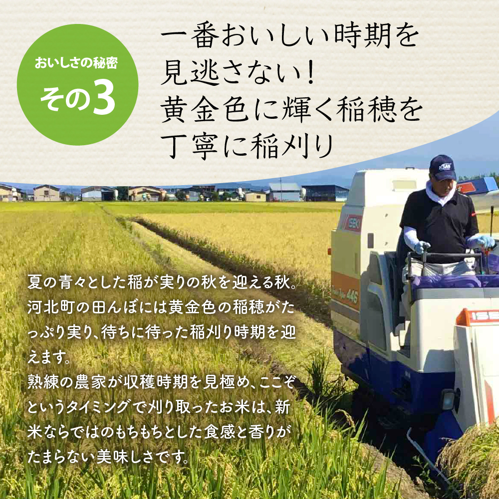 【令和6年産米】2024年12月中旬発送 こしひかり 10kg（5kg×2袋）山形県産 【米COMEかほく協同組合】