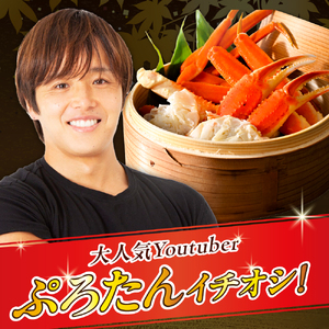 本ズワイガニ  6肩～9肩（約2㎏）【er018-045-a】すわいがに ズワイ ずわい蟹 ずわい ズワイガニ ズワイ 蟹 ズワイ 蟹 かに カニ ボイル ボイル済み 茹で 脚 足 蟹脚 蟹足 魚介 