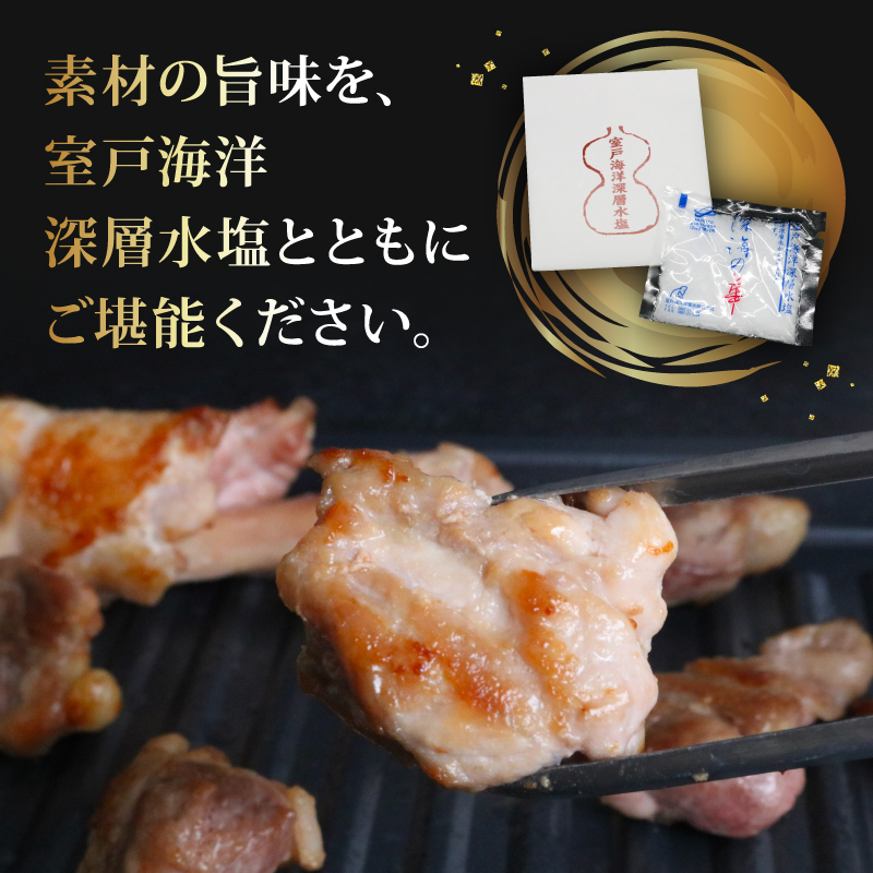 ごめんケンカシャモ焼肉セット 8人前 焼肉 焼肉セット BBQ 焼き肉 ギフト 冷凍 しゃも シャモ 軍鶏 国産鶏肉 チキン とりにく 鶏肉 国産鶏 おすすめ 高知県 南国市