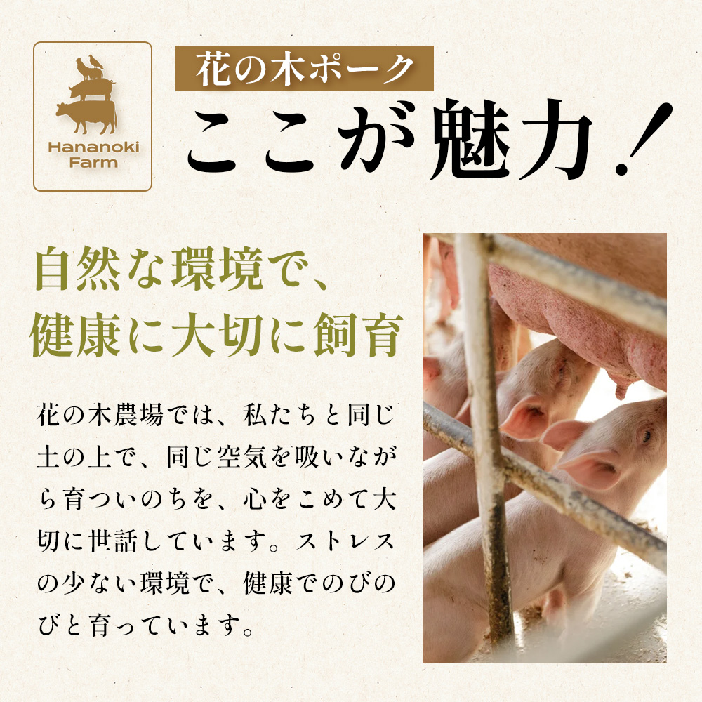 花の木農場 鹿児島県産 豚ミンチ 約2kg（500g×4パック） HK-14｜ 豚肉 ミンチ肉 精肉 冷凍 国産 お肉 ハンバーグ 餃子 ミートソース 農福連携 鹿児島県 南大隅町 第2花の木ファーム