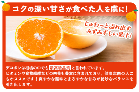 くまもとのデコポンゼリー 12個入《60日以内に順次出荷(土日祝除く)》熊本県 葦北郡 津奈木町 あしきた農業協同組合 JAあしきた 柑橘 デコポン フルーツ 果物 ゼリー ギフト 包装 送料無料