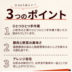 ＜2か月に1回　計6回定期便＞国産豚で作った惣菜セット6種 かんたん 惣菜 こだわり 国産 お弁当 和食 [022J26-T]