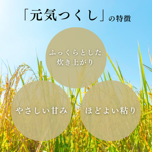 特別栽培米 R7年度産 福岡県 小郡産 元気つくし 5kg 米 お米