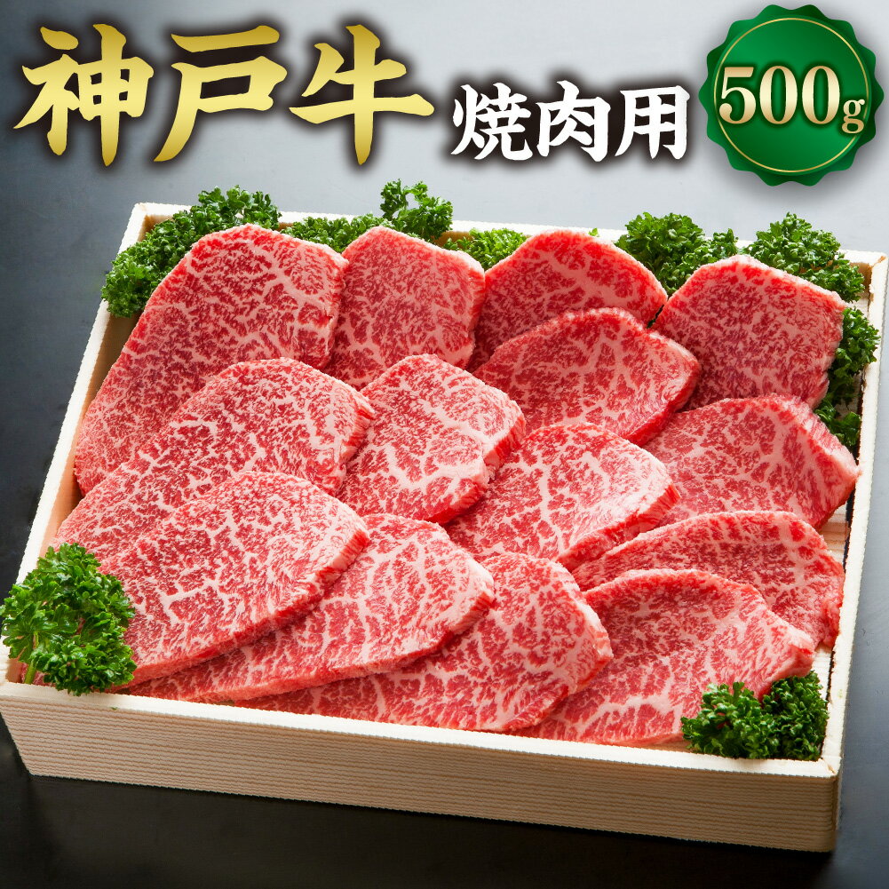 【ふるさと納税】神戸牛 焼肉用 SOY2 約500g 但馬牛 牛肉 和牛 お肉 肉 やきにく 焼肉 焼き肉 冷凍 お取り寄せグルメ 兵庫県 新温泉町 送料無料【2026年4月上旬～11月下旬まで順次発送予定】