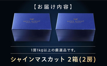 【先行予約】シャインマスカット 2房 BKBI001 マスカット