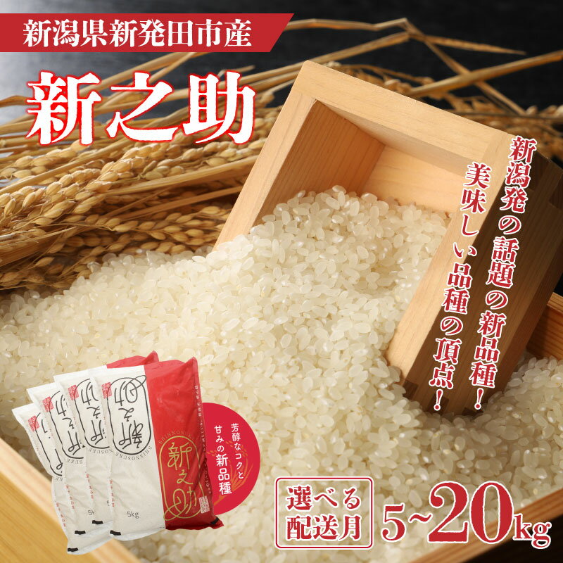 【ふるさと納税】 【先行予約】 令和7年産 新之助 5kg 10kg 20kg 選べる 配送月 新米 お米 こめ ご飯 ごはん おいしい 新潟 新潟県 米 しんのすけ 新発田産 新潟産 朝食 昼食 夕飯 炊きたて 精米 ブランド watasho007P
