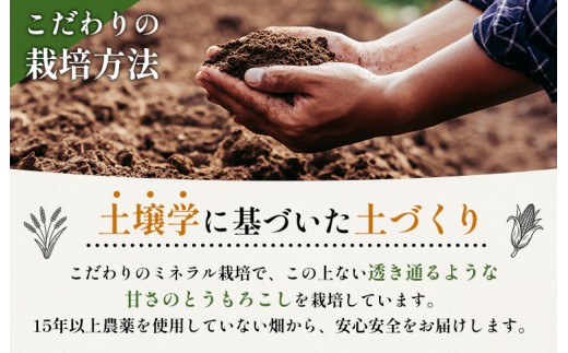 【先行予約】上原農場直送　有機栽培とうもろこし (ピュアホワイト) 約10kg 約20本前後