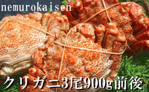 A-57057【12/21まで年内配送】 【北海道根室産】クリガニ3尾(計900g前後)