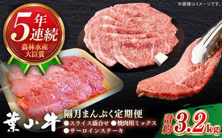 【隔月定期便全3回】葉山牛 まんぷく定期便 牛肉(スライス盛合せ・焼肉用ミックス・サーロインステーキ) 食べ比べ[ASBD060]