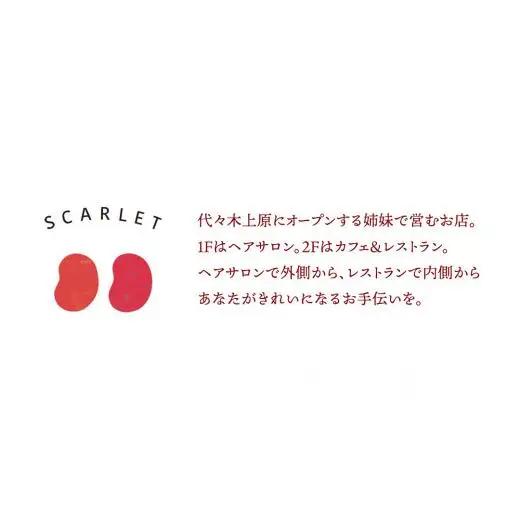 アイス 花豆サンド アソートパック (6個入り×1袋) SCARLET [AB076tu]