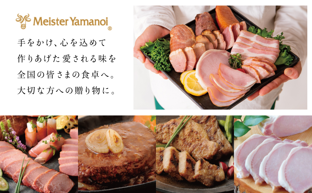 【マイスター山野井】5種類の焼豚とハム・ベーコン詰め合わせ（9種） ハム 焼き豚 ロースハム 合鴨 みそ漬け ハムギフト グルメ 惣菜 詰合せ アソート ギフト 内祝い 贈答 冷蔵 山野井 鹿児島