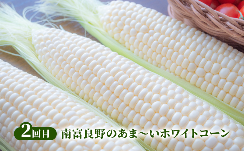 2026年発送 南富良野から贈る 人気野菜 3回お届け定期便 北