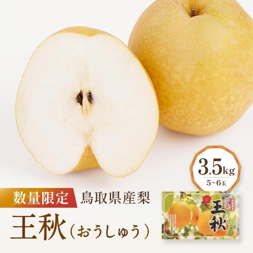 【先行予約】数量限定 鳥取県産梨 王秋（おうしゅう） 3.5kg（5～6玉）