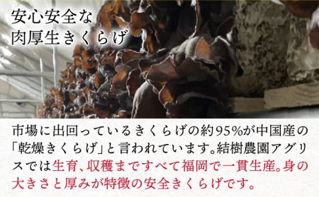 結樹農園アグリス めんたいきくらげ300g×3P 《糸島》【結樹農園アグリス】[AAJ002] きくらげ 国産 明太 明太子 ご飯のおとも ごはんのお供