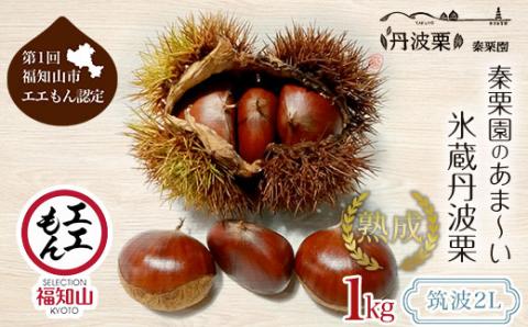 【先行予約10月下旬発送】秦栗園のあま～い氷蔵丹波栗 筑波2L 1㎏【第1回福知山市ええもん認定】【熟成】 大粒 FCAC011