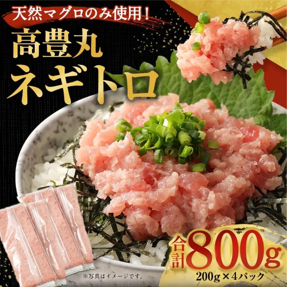 【ねぎとろ】高豊丸 ねぎとろ 800g tk099