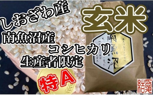 【令和7年産】【定期便】玄米 南魚沼しおざわ産コシヒカリ5Kg×9ヶ月【2025年10月上旬より順次発送予定】