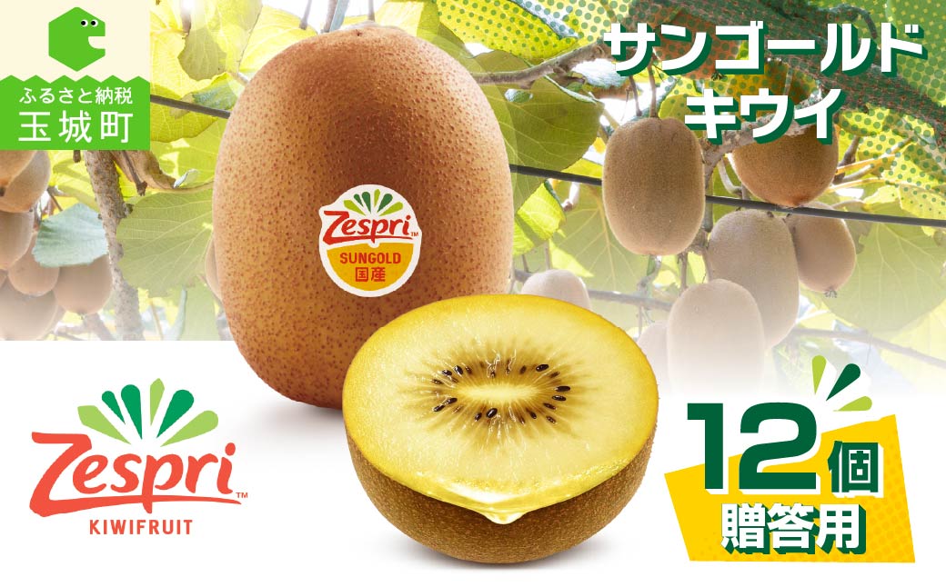 【先行予約】2026年度発送 三重県玉城町産 ゼスプリ サンゴールドキウイ 約1kg(贈答用)