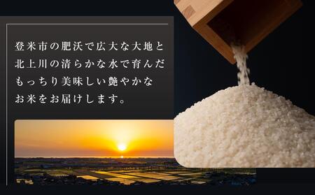 令和5年産【定期便／全12回】宮城県登米市産ひとめぼれ精米　５kg×２個セット