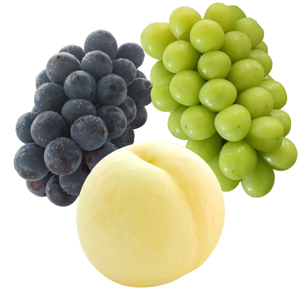 【ふるさと納税】もも ぶどう 先行予約 詰合せ 白桃2玉（1玉220g以上）・ニューピオーネ1房（480g以上）・シャインマスカット晴王 1房（480g以上） 化粧箱入り 岡山県産 フルーツ ギフト 倉敷市 送料無料 【2026年7月下旬～8月上旬迄順次発送予定】