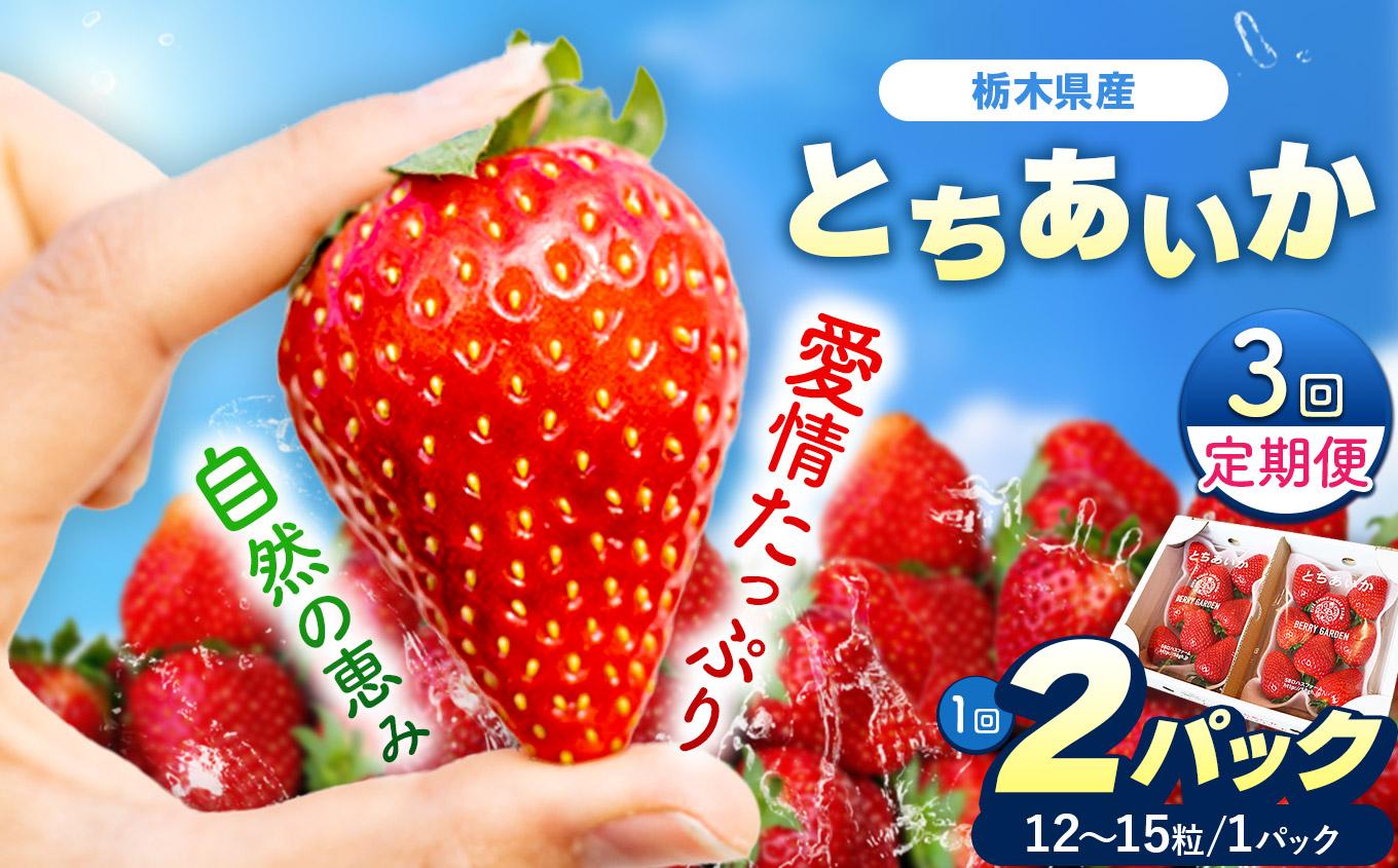 【定期便3回】いちごの新定番 ★とちあいか★ 12～15粒×2P 2027年 1月～4月上旬発送！【2027年先行予約】栃木県 矢板市産