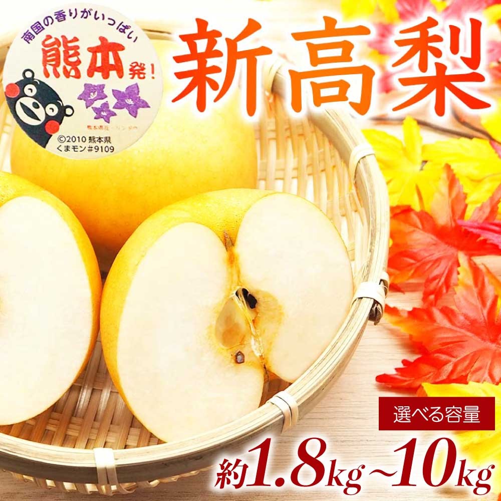 
                  先行予約 新高梨 選べる容量 約1.8kg 約3kg 約5kg 約10kg 【2026年9月上旬～2026年10月上旬発送予定】 新高 国産 熊本県 熊本 九州 大玉 大きい ずっしり きめ細かい シャリシャリ 食感 日本フルーツ
                
