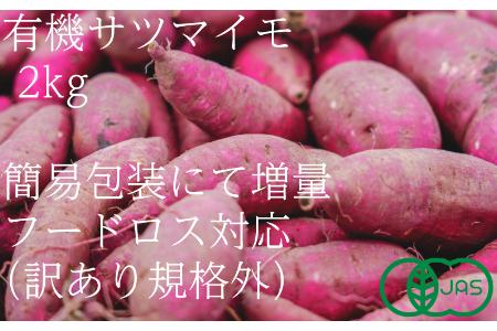 【訳あり（フードロス）】有機サツマイモ2㎏（12月・1月・2月発送）規格外 オーガニック 野菜 無農薬 さつまいも 甘藷 2140