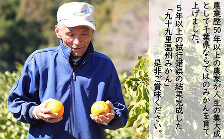 【訳あり】九十九里温州みかん 約10kg 千葉県 山武市 SMBZ001 みかん ミカン 蜜柑 温州 温州みかん 温州ミカン 興津早生 おきつわせ 早生 早生みかん 早生ミカン わせみかん 10kg 