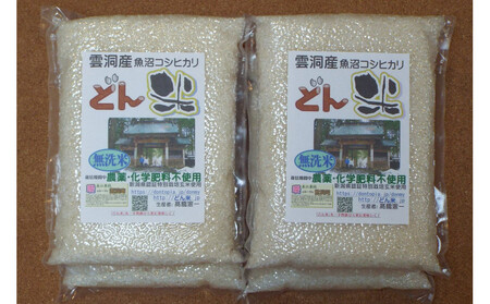 【頒布会】南魚沼産「どん米」無洗米真空パック4.8kg×１０ヶ月　ちょっと！うるさいよ！炊き方