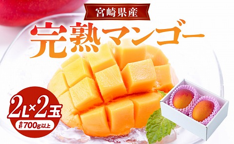 《2026年発送先行予約》【数量・期間限定】宮崎県産完熟マンゴー 2Lサイズ 2玉 果実 完熟 フルーツ