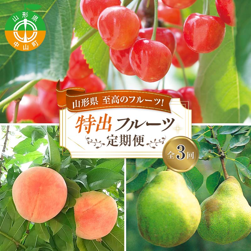 【ふるさと納税】《2026年6月発送開始》山形県至高のフルーツ定期便3回！山形県特出フルーツ定期便 全3回 F4A-0458