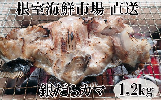 G-14008 銀だらカマ1.2kg