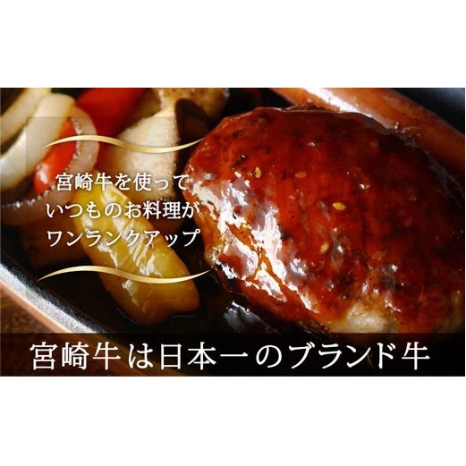 牛肉 宮崎牛 牛こま 400g & ミンチ 600g 計 1kg [SHINGAKI 宮崎県 美郷町 31ag0058] セット 小間 ひき肉 挽き肉 冷凍 宮崎 詰め合わせ_イメージ2