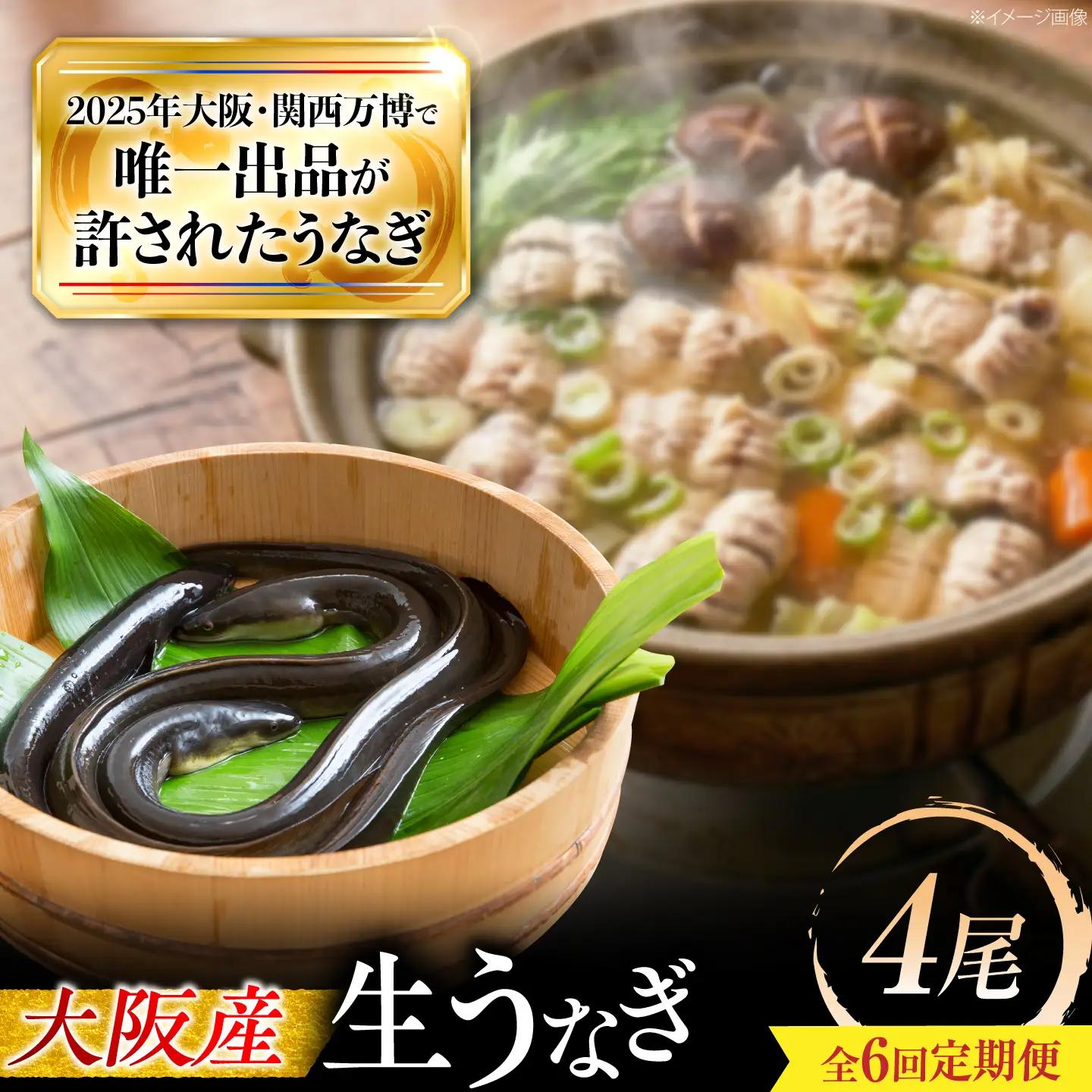 【6回定期便】 鰻 美陵鰻の生鰻 4尾 BLAL073