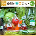 【ふるさと納税】【定期便12回】季節の野菜セット 16品目 毎月1回 計12回 ベジタブル 詰め合わせ 野菜定期便 新鮮 国産 九州産 熊本県産 送料無料