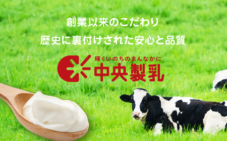 中央製乳 中央ヨーグルト2p 10個セット こだわり なめらか おやつ デザート 乳製品 乳酸菌 健康 腸活 ロングセラー 愛知県 豊橋市