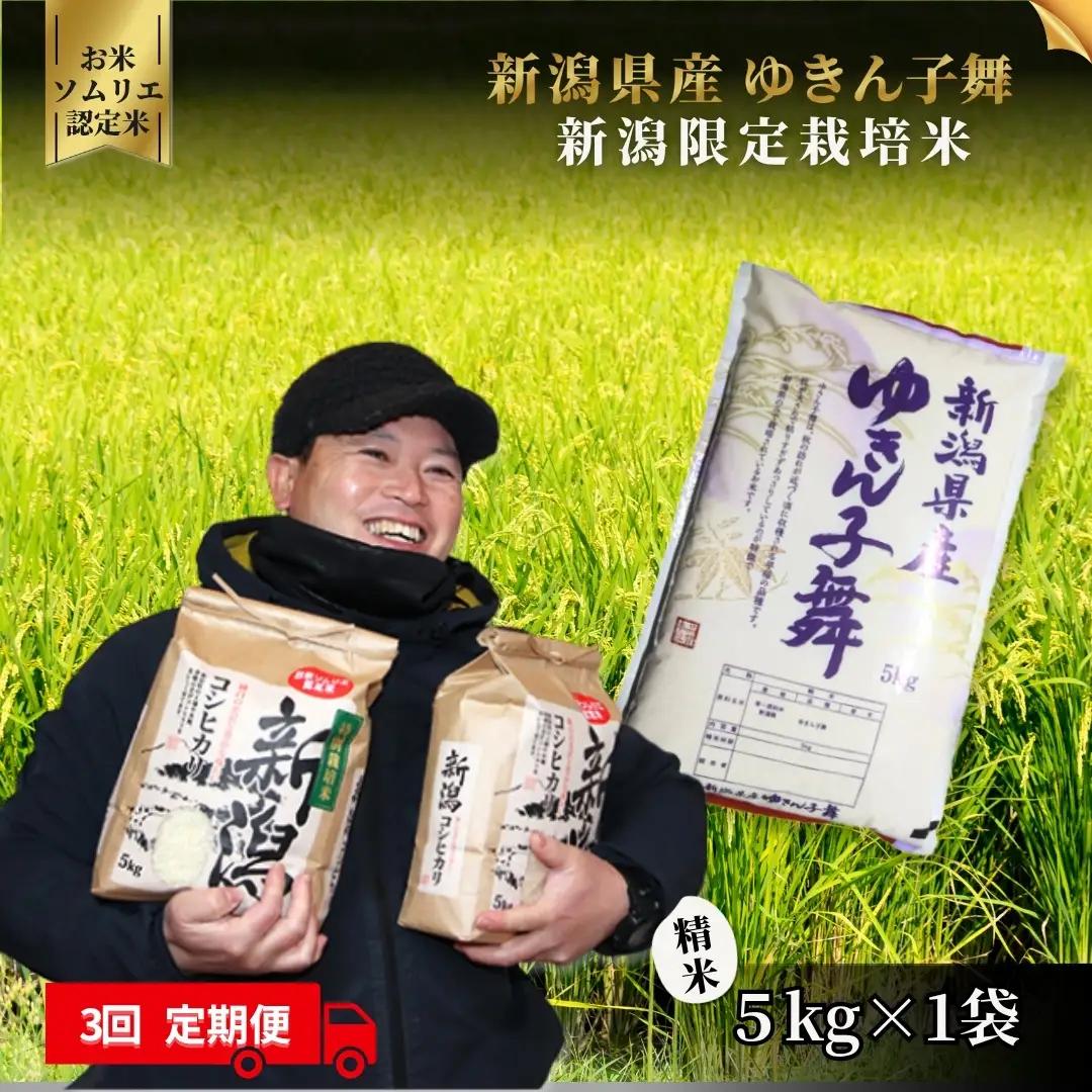 【定期便3回】令和8年産 新米 ゆきん子舞 5kg×3回(計15kg) お米ソムリエ 先行予約 | 新潟県産 米 五泉市