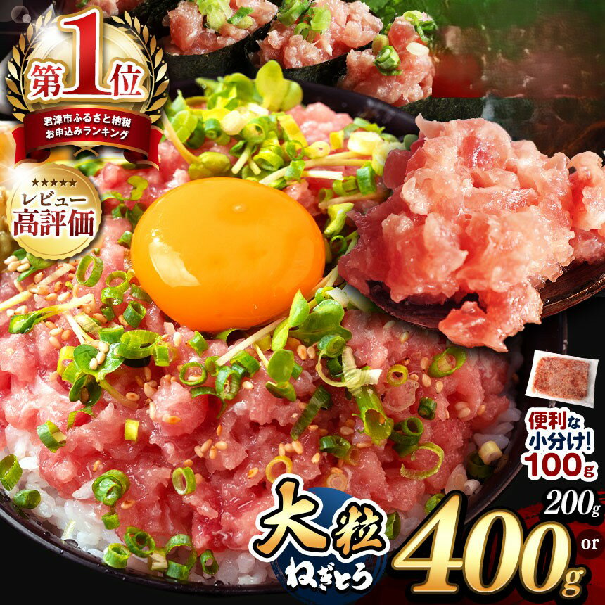 【ふるさと納税】 100g パック ねぎとろ 200g 400g 定期便 関東限定 お試し 選べる ねぎとろ 小分け 簡易包装 | 清幸丸水産 高評価 単身用 ネギトロ マグロ タタキ ユッケ 鮪 海鮮 イチオシ 君津市 きみつ