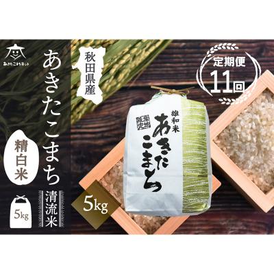 ふるさと納税 秋田市 《定期便11ヶ月》秋田市雄和産あきたこまち 清流米 5kg|15_akn-dd0511h