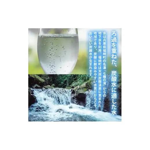 炭酸水 定期便 毎月 12回 500ml×24本 ソーダ