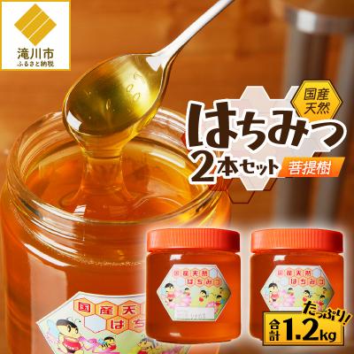 ふるさと納税 滝川市 【北海道滝川産】高見養蜂場の純粋はちみつ(菩提樹、シナの木600g×2本) 国産 天然 無添加 蜂蜜