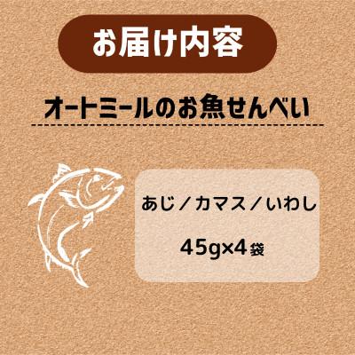 ふるさと納税 精華町 【ペット用】BariShBariSh オートミールのお魚せんべい (鯵、カマス、鰯) 180g |  | 03
