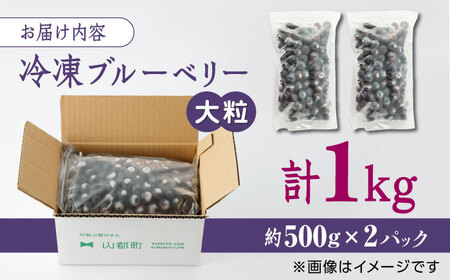 【数量限定】冷凍ブルーベリー 大粒 計1kg (約500g×2パック) 熊本県産ブルーベリー 山都町産 ブルーベリー フルーツ スムージー 果物 小分け 国産ブルーベリー 冷凍ブルーベリー 九州ブルー