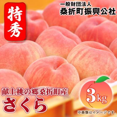ふるさと納税 桑折町 もも【さくら・2026年産先行受付】特秀3kg(8〜11玉)桑折町振興公社　桃